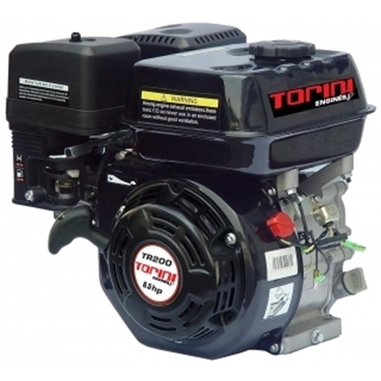 Picture of PETROL ENGINE TORINI 6.5 HP